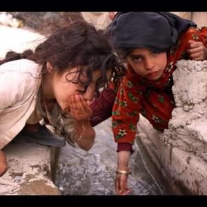 Meet your Posher, Husa